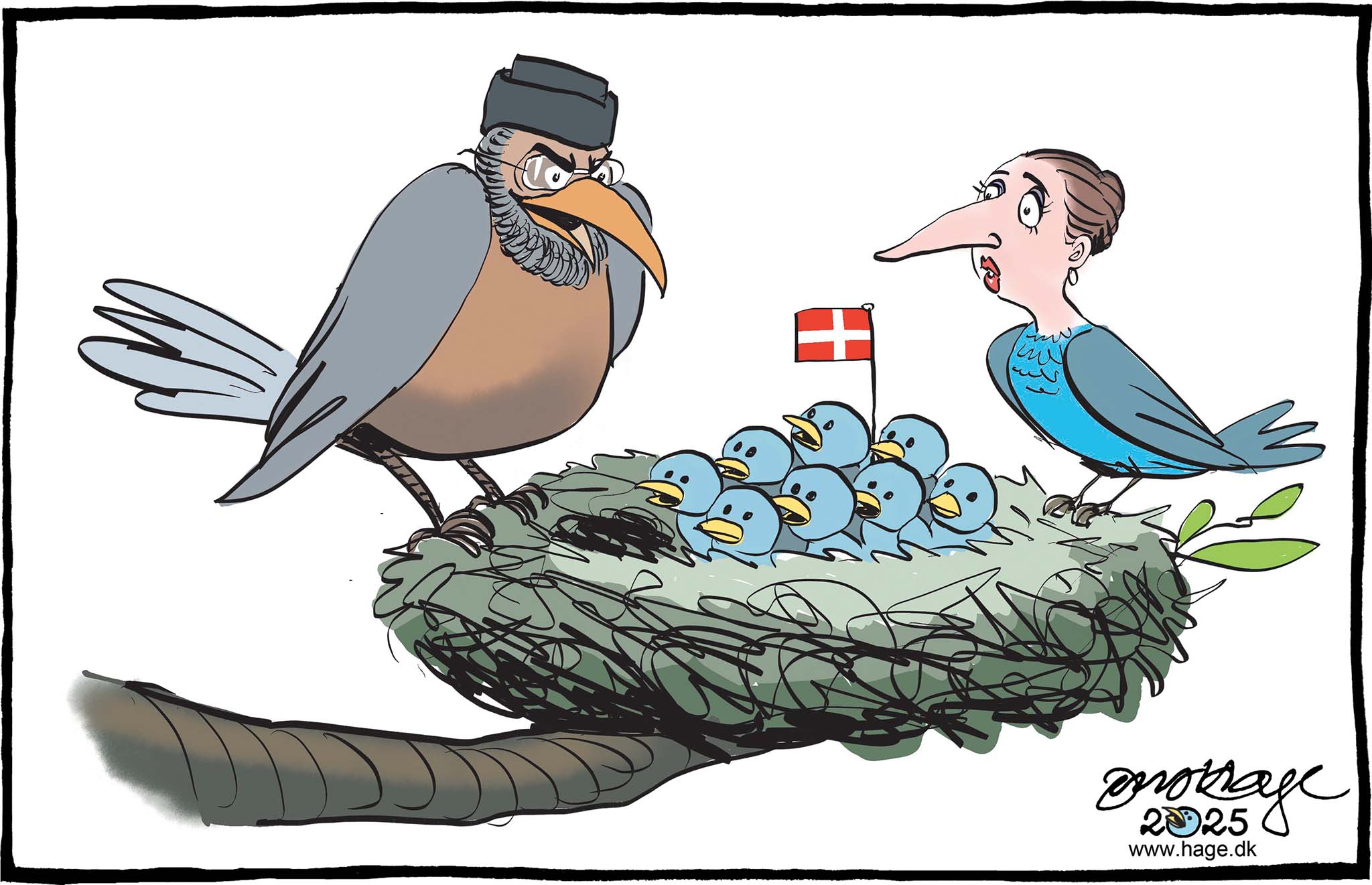 Satire tegning: En højtstående leder af en muslimsk organisation, som arbejder på at indføre en islamisk stat, har søgt dansk statsborgerskab.